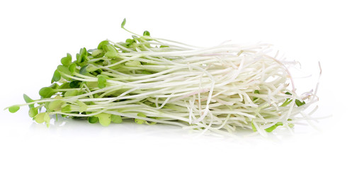 Radish root on white background