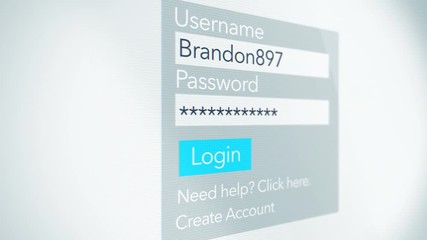 Username and Password for a Generic Log in form for website