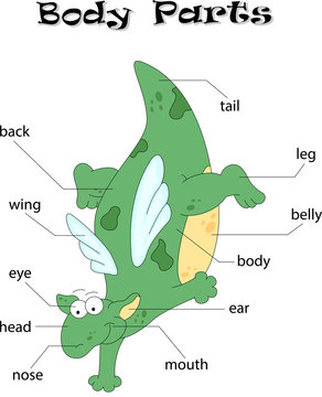 Cartoon dragon body parts