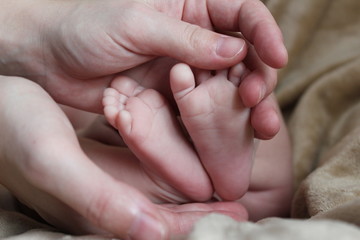 Foot of the newborn 5
