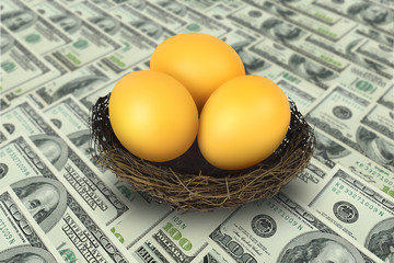 Golden egg in nest on dollar background