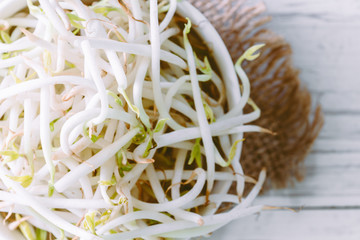 Bean Sprouts on wooden background