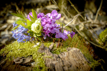 bouquet of forest flowers