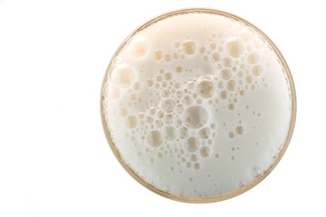 A beer with bubbles poured in a crystal glass