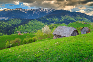 Summer rural landscape and wilderness near Brasov, Transylvania, Romania, Europe