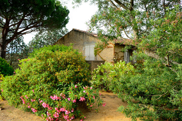 Rural farm, France