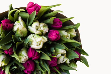 Large bouquet of tulips on white background