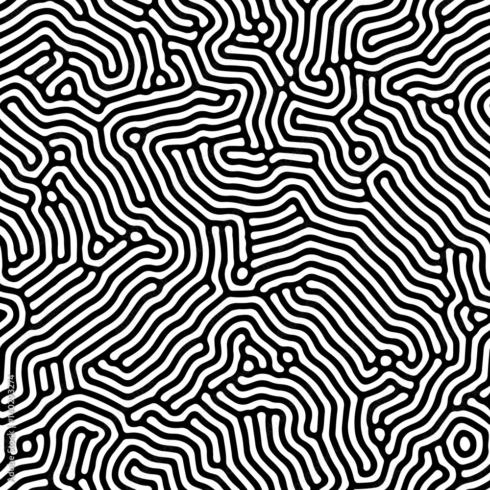 Poster Abstract background of vector organic irregular lines pattern
