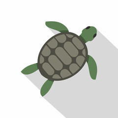 Green sea turtle icon, flat style