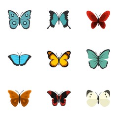 Fototapeta na wymiar Brightly colored butterfly icons set, flat style