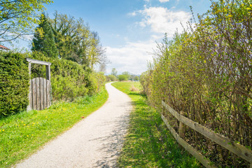 Fototapeta premium Weg bei Breitbrunn am Chiemsee im Frühling, Bayern in Deutschland