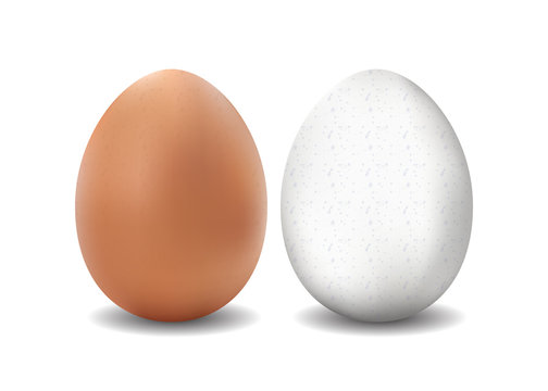 Two isolated vector realistic white and brown eggs on white background