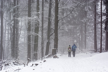 Retreating hikers in a snowy landscape with woods in the background.