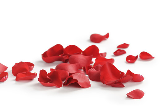 Background Red Rose Petals Stock Photo by ©eduardkraft 4642616