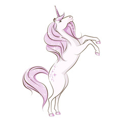The beautiful magical unicorn stand on its hind legs.