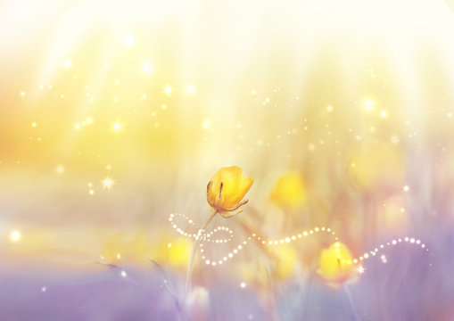 Fototapeta Spring summer floral wallpaper template with magic ribbon sparks. Delicate yellow flower with soft focus on light lilac yellow background close-up macro. Dreamy fairytale artistic image.