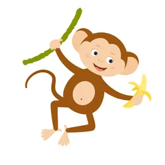 Kunstfelldecke mit Muster Affe Funny monkey with banana
