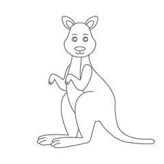 Kangaroo for coloring book