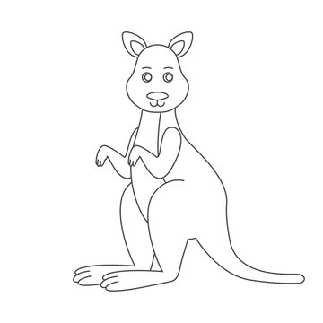 Kangaroo for coloring book
