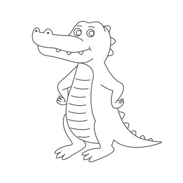 Crocodile for coloring book