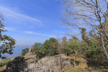 blue sky with forest