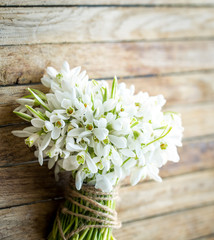 bouquet of beautiful snowdrops