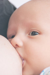 Little baby eating milk from mother's breast