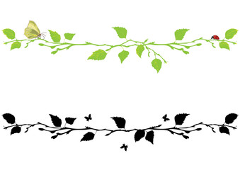 set of dividing with birch tree