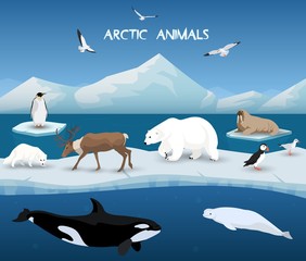 Collection of arctic animals in a background of arctic scenery