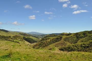Fototapeta na wymiar Green Hills in New Zealand