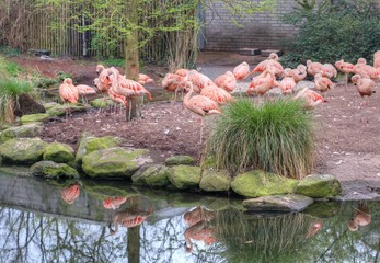 Dutch wildlife on a sunny day
