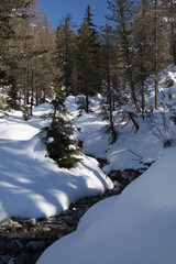 Fototapeta na wymiar Dolomites in Winter, View from Hiking Trail Ciadin Della Neve, Italy