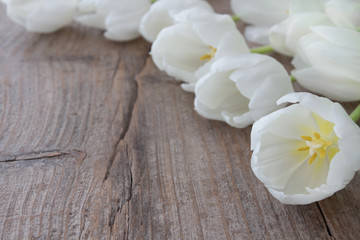 Fototapeta na wymiar Tulpen auf Holz
