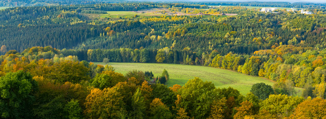 Autumn forest from a bird's eye view