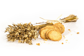 Oat bunch and cookies isolated on white background. Grain bouquet. Golden oats spikelets. Food, bakery concept