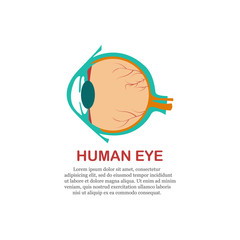 Human eye logo design vector template