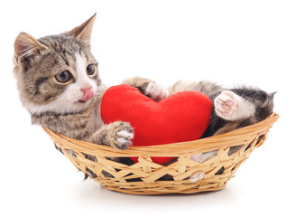 Gray kitten and red heart.