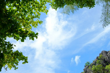 Obraz premium Blue Sky, White Cloud and Green Tree. Beautiful Nature Background