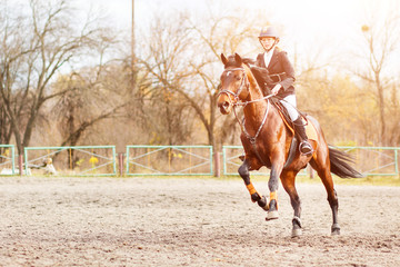 Young rider girl on bay horse galloping towards a hurdle on show jumping competition