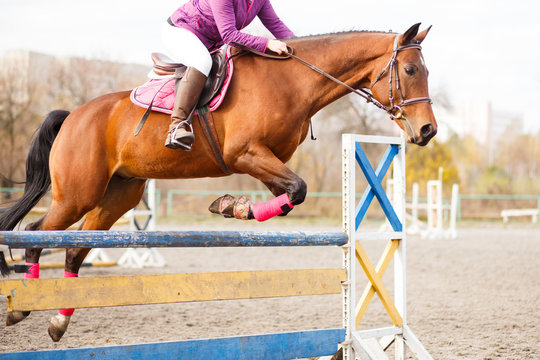 Sorrel horse with rider girl jump over hurdle on show jumping competition