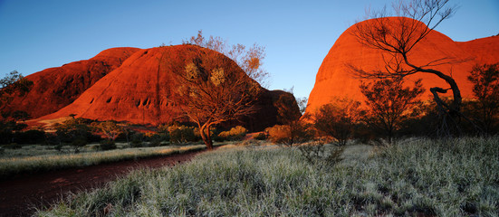 Australia Landscape : Red rock of Alice Spring, Yulara, Mutitjulu - obrazy, fototapety, plakaty