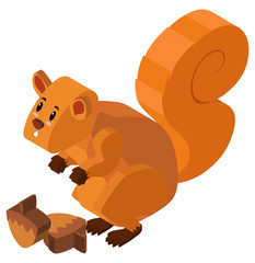 3D design for squirrel and walnuts