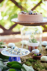 Wedding cakes desserts and sweets in the candy bar