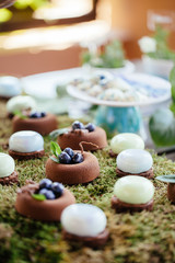 Wedding cakes desserts and sweets in the candy bar