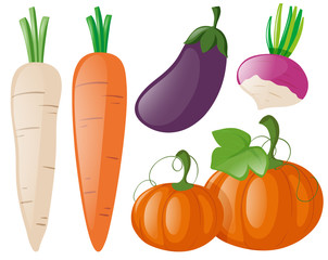 Different types of fresh vegetables