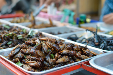 Fried insects sold in the streets of Bangkok, Thailand. Selective focus