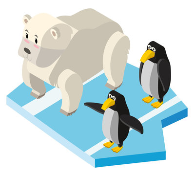 Polar bears and penguins in 3D design