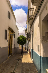 Obraz premium Spanische Gasse mit Baum