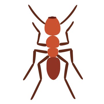 Ant vector illustration isolated on white