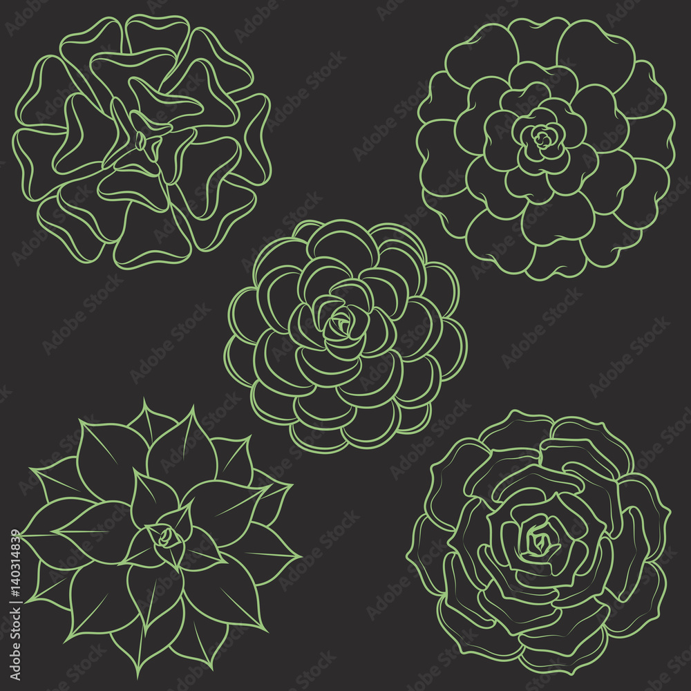 Poster set of images with ornamental plants. isolated objects on white background.
